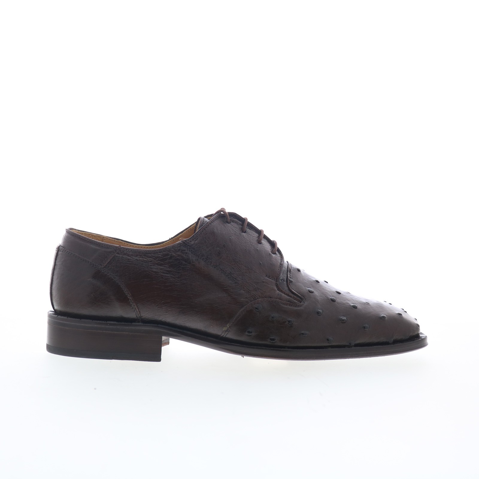Ferrini FQ Ostrich 2353 121 8