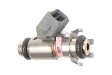 Renault Einspritzventil Einspritzanlage Clio II D4F 712 Motor Fluence 8200025248