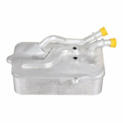 Engine Transmission Oil Cooler For Audi A6 RS6 Quattro S6 Avant A8 09E409061A *r