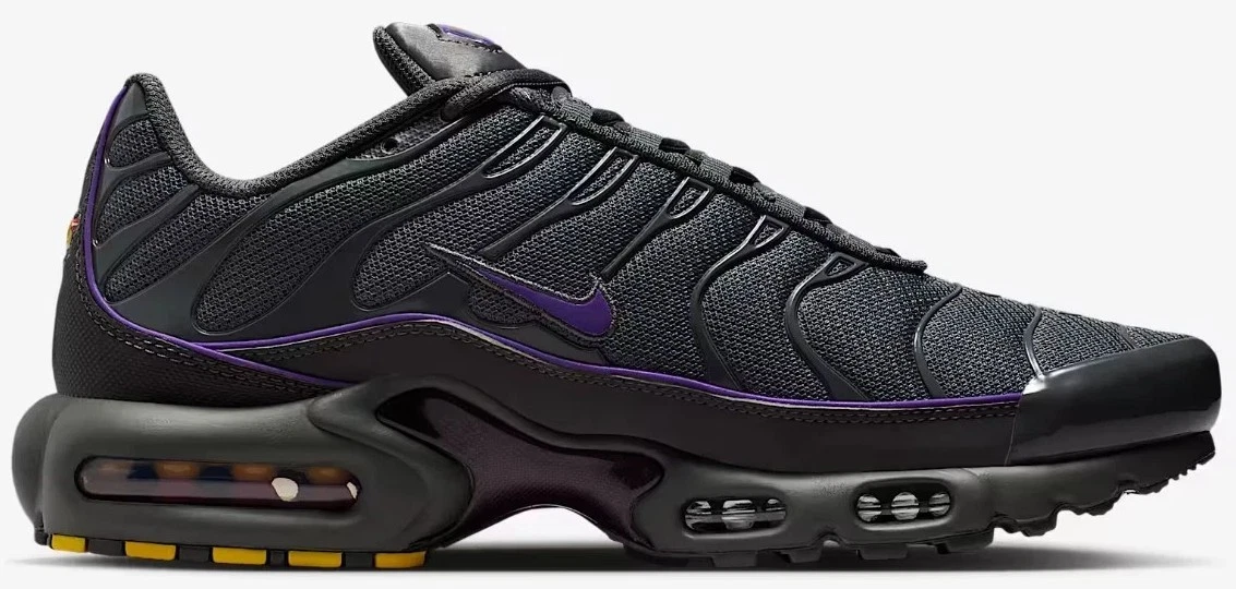 Nike Air Max Plus Wild Grapeナイキエアマックスプラス Nike Air Max Plus Iron Grey Wild Grape for Sale | Authenticity