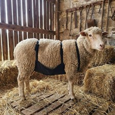 Wear Resistant Livestock Anti Breeding Apron Anti Mating Apron  For Goats Sheep