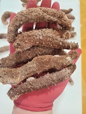 Dried Wild Red Alaska Sea Cucumber Medium 1 LB (18-22 count)