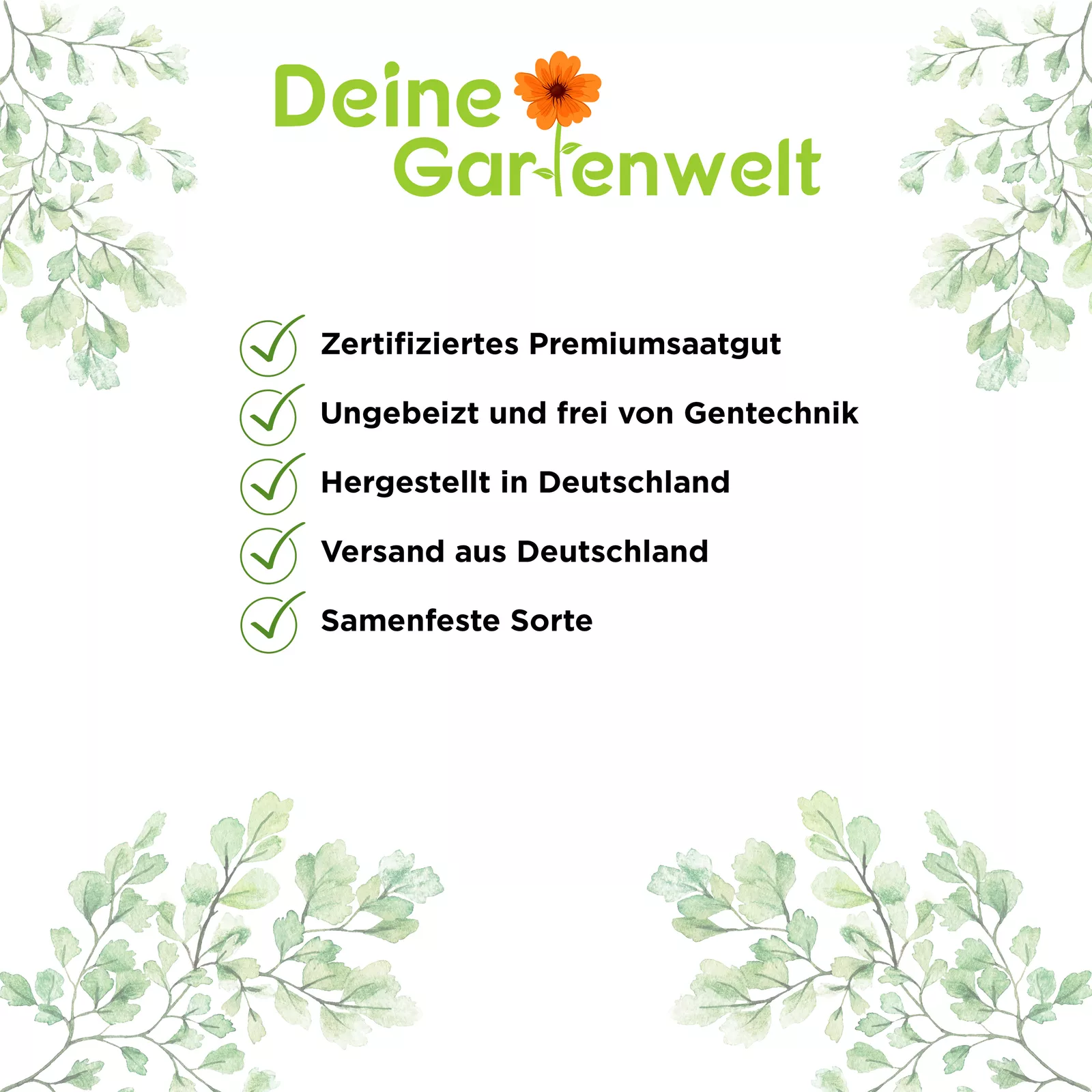Bild 4 von 6