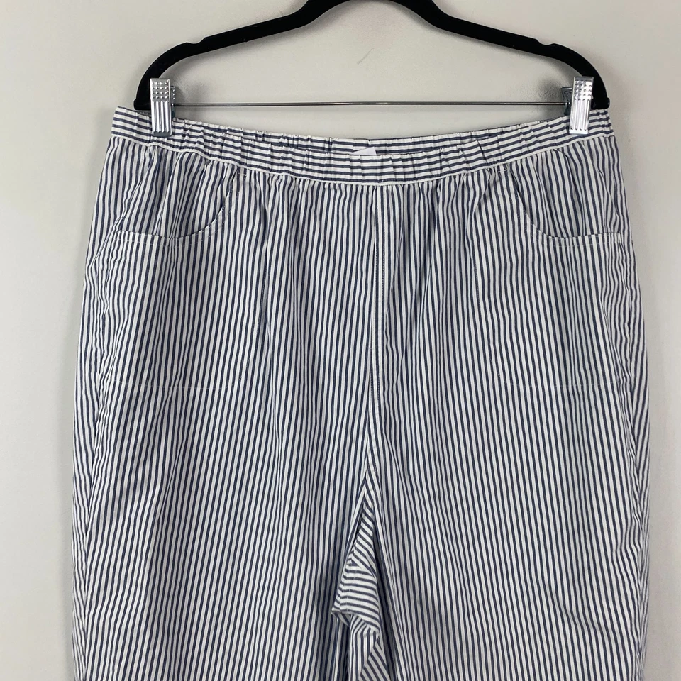Quacker Factory Pull On 19" Stretch Seersucker Capri Pants Size 1X Blue White - Image 2 of 4