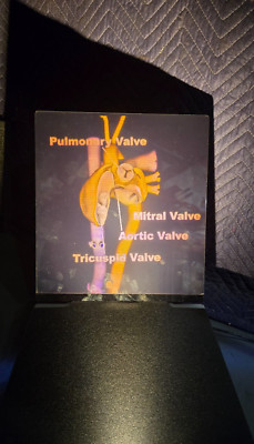Zebra Imaging Holographic Display Unit with Cardiovascular/Heart Hologram board