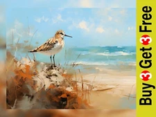 Shorebird by the Sea Art Print 5" x 7" - Coastal Bird Watercolor Decor