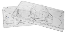 UltraCruz Tissue Culture Plates, 6 well, 100/case