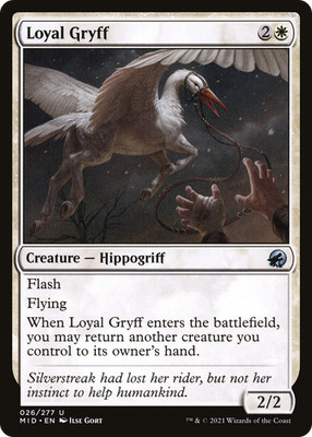 Loyal Gryff #26 (LP) Midnight Hunt MID Magic MTG