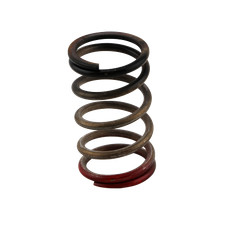 Turbosmart Ts-0550-3112 Wastegate Gen-v Wg Hp 40-psi Spring Blackred