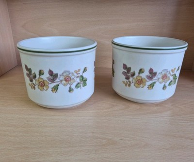 2 M&S Keramik Pflanzkübel Übertöpfe (St. Michael) Autumn Leaves (B13cm x H10,5cm)