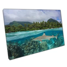 Tropical Seascape Canvas Print Blacktip Reef Shark Art Huahine Island Decor for