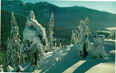 Vintage Snoqualmie Summit Cascades Postcard Lake Keechelus Washington WA