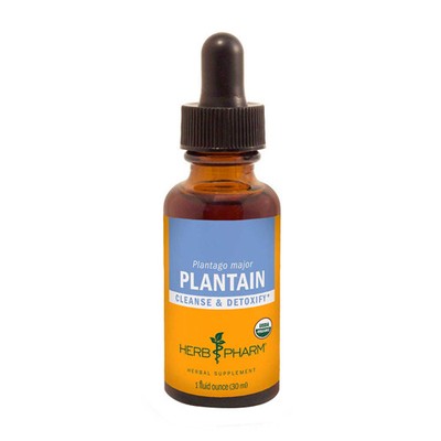 Plantain Extract  1 Oz By Herb Pharm