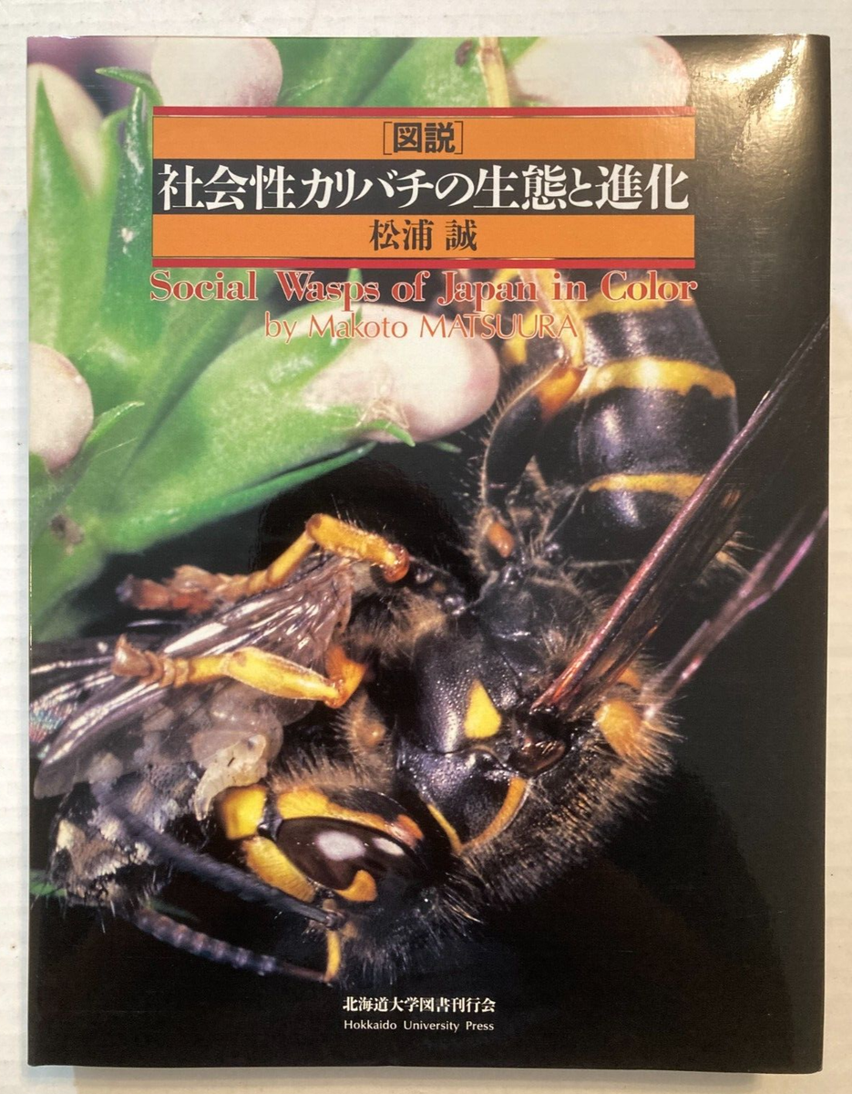 図説社会性カリバチの生態と進化 松浦誠 北海道大学図書刊行会