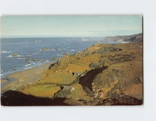 Postcard Brookings on the Coast of Southern Oregon Azalea State Park Oregon USA
