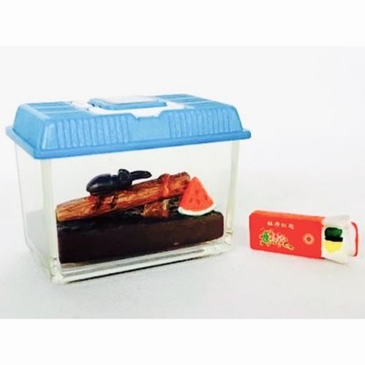 Showa 50s Nostalgic Series Summer Memories Day 5 Summer Activities Beetle