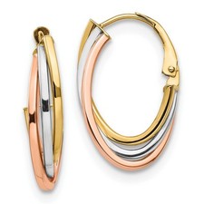 14K Tri-color Gold Polished Hoop Earrings