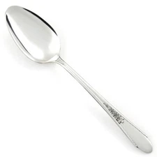 Wm Rogers GARDENIA International Silver Plate 1941 Silverware CHOICE Flatware