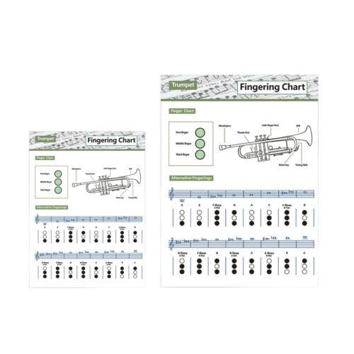 Kompakte Trompetendiagramme grundlegende Fingerkarte für Übungswerkzeug - Bild 1 von 14