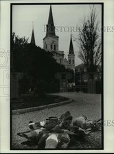 1983 Press Photo Dead and dying pigeons on ground at Jackson Square, New Orleans