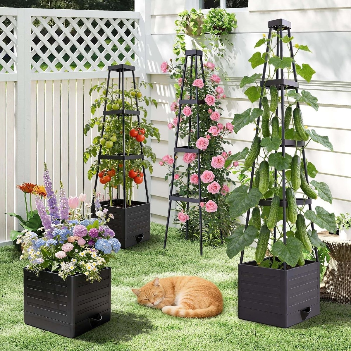 2-Pack Tomato Planter with Trellis, 57