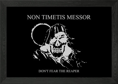 Dont Fear The Reaper Framed Wall Art Poster Canvas Print Picture