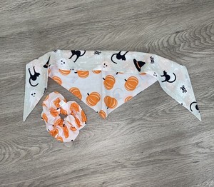 Alex and Andy Fall & Halloween Pet Bandana and matching Pumpkin Scrunchie