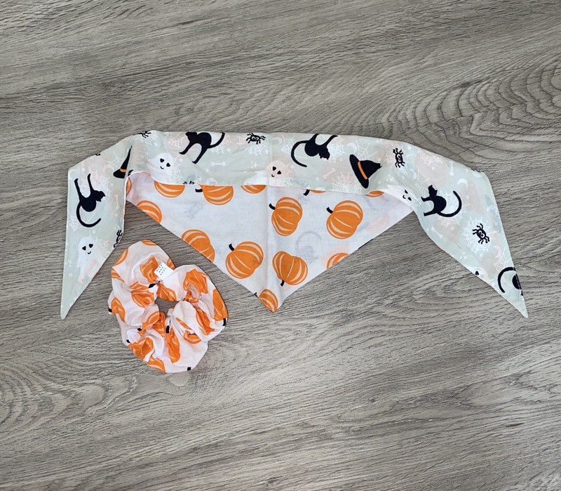 Alex and Andy Fall & Halloween Pet Bandana and matching Pumpkin Scrunchie