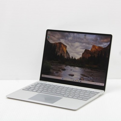 Microsoft Surface Laptop Go 1943 12,5 Zoll Intel i5 1035G1 8GB RAM 256GB SSD