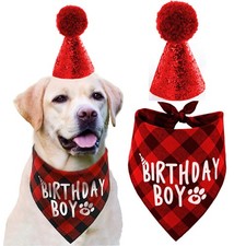 Dog Birthday Hat and Dog Birthday Bandana Boy Set