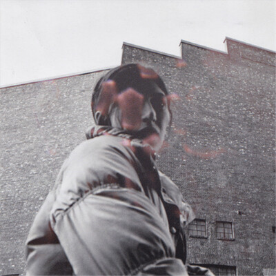 Aldous Harding Warm Chris (CD) Album