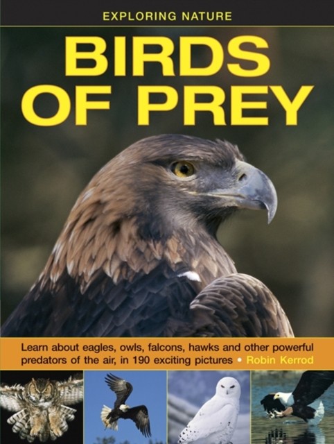 Exploring Nature: Birds of Prey by Kerrod Robin (Hardback Book)