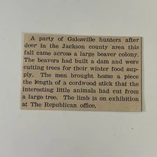 Galesville Hunters Came Across Large Beaver 1936 Galesville WI Clipping SAH6-S27