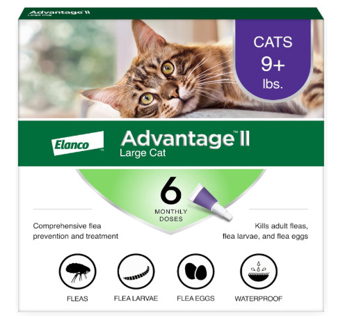 Advantage II Large Cat Flea Treatment Prevention Over - 9lbs - 6 Month Supply