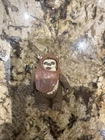 Star Wars 1984 Ewok Action Figure Wicket Warrick, Kenner, Return of the Jedi