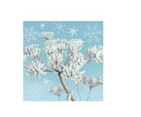 20 Servietten Broste Copenhagen Eisblume Frost Weiss Blau 33X33Cm