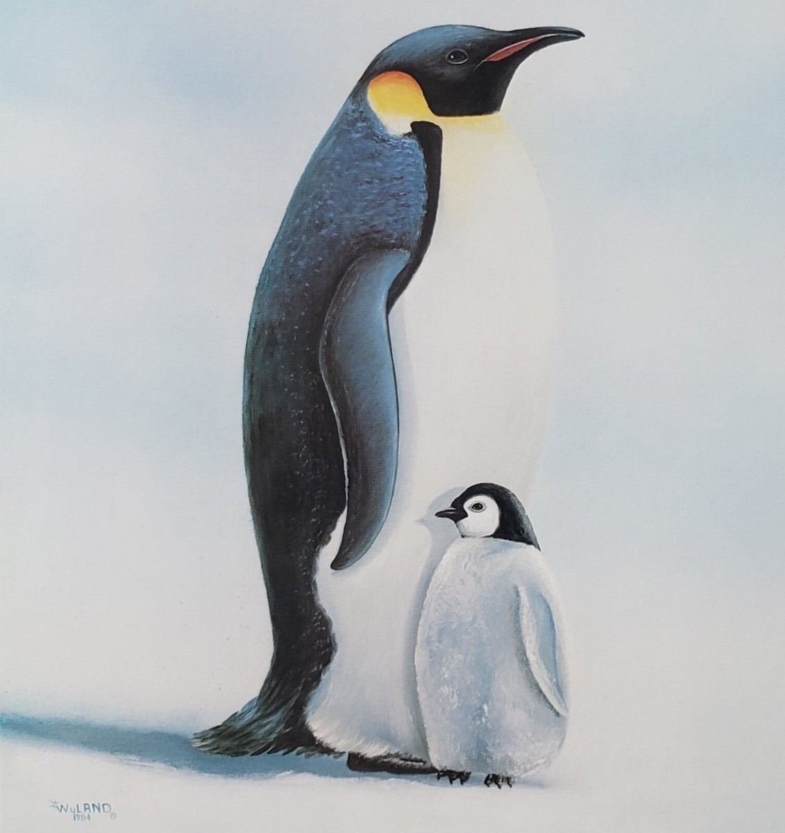 Robert Wyland Penguins Emperor Penguin Arctic Animals Cute baby