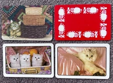 Swap playing cards cats