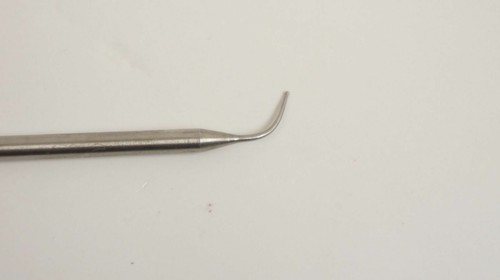 Enchufe de relleno de plástico dental de un solo extremo 4 pulgadas - Imagen 2 de 3