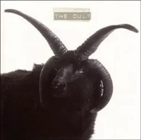Cult | The Cult | Deutsch | Audio-Cd | Cd | 2004 | Indigo Musikproduktion