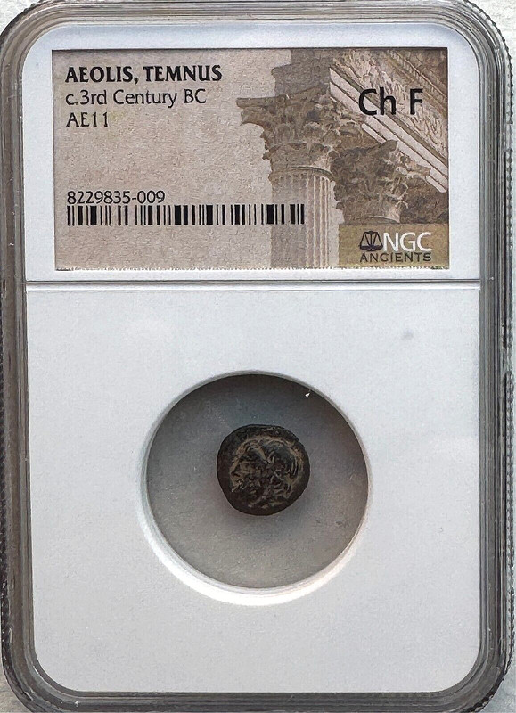 AEOLIS, TEMNUS AE11 -  c.300-200 BC - DIONYSOS/GRAPES -NGC CH F - FREE SHIPPING!