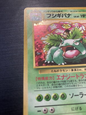 Pokemon Card Venusaur CD Promo No.003 Holo 1999 Japanese | eBay