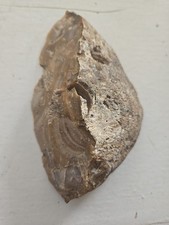 Prehistoric Paleo-American slicing stone ax a...