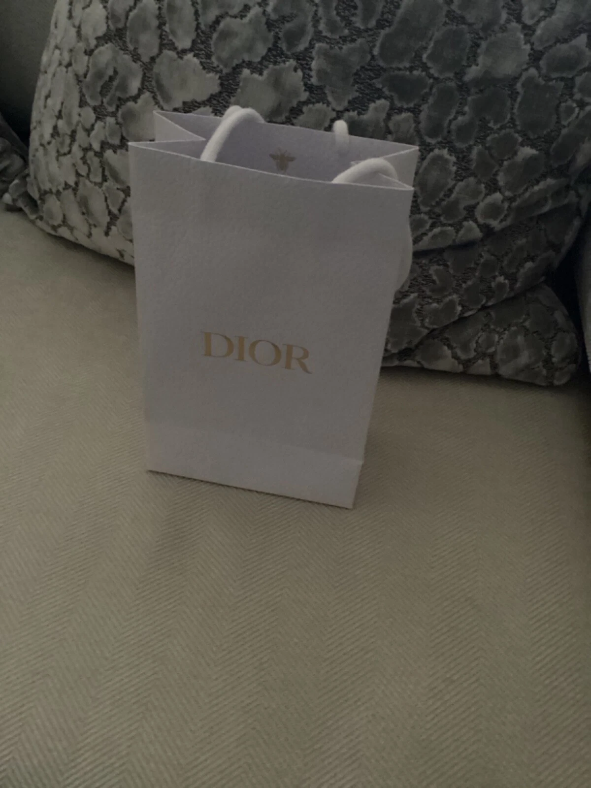 Sac cadeau Dior