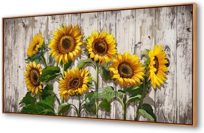 Jiuqinghua Canvas Prints Wall Art Abstract Board 24x48inch, Colorful Framed 