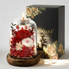 Chicvault Gifts for Mom, Preserved Rose Flowers in Glass Dome, Forever Red