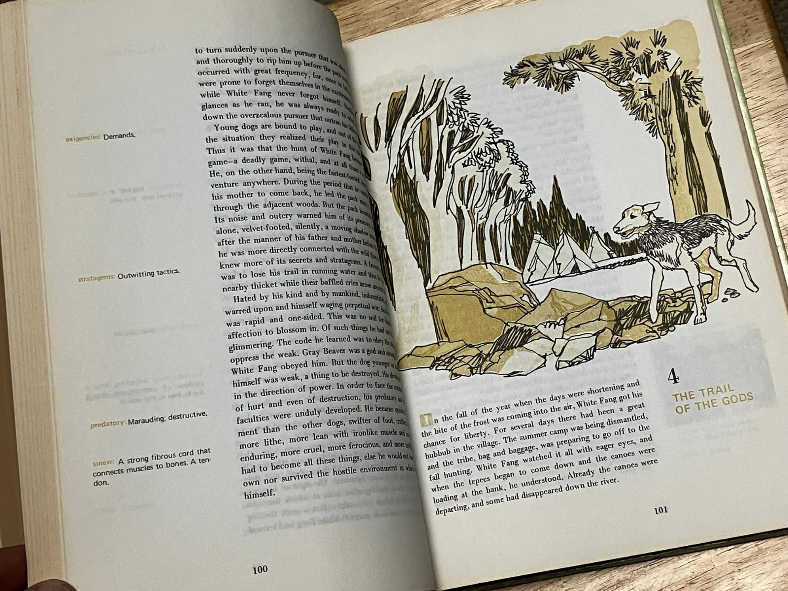 Jack London White Fang Educator Classic Publishing Corporation 1970 Hard cover