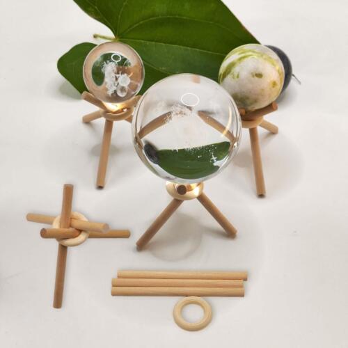Présentoir de Baseball en bois, 5 pièces, supports à œufs, cercles en bois - Photo 1/10