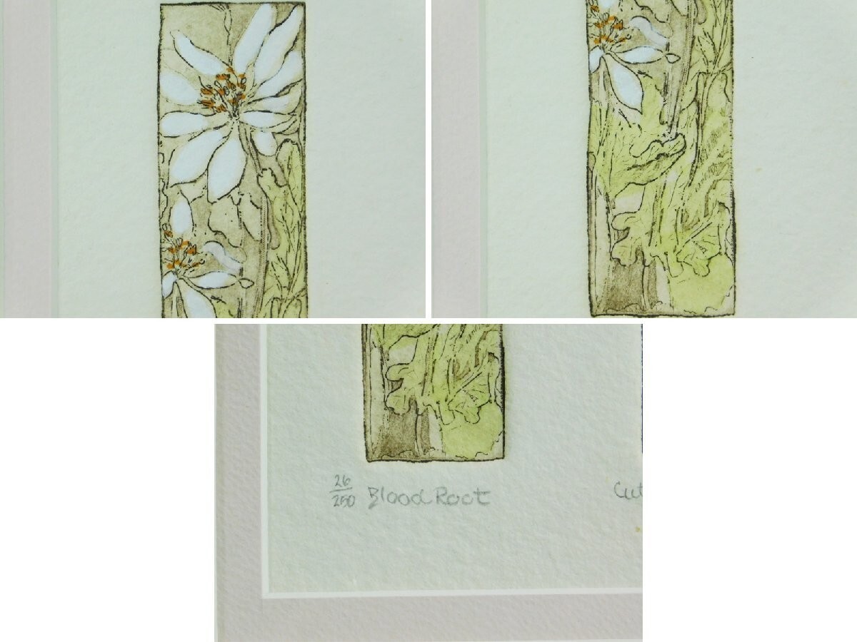 絵画 Joanne lsaac JOANNE ISAAC FRENCH TOWN FENCE SIGNED ETCHING | eBay