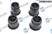 Dr.Motor Automotive DRM0248S Seal Kit, Injector Nozzle For Lexus Toyota
